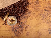 El origen del café